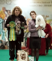 Белая Вьюга Хола из Борисов Града