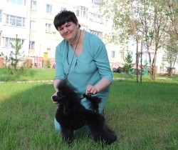 Хола Аурус Лакки
