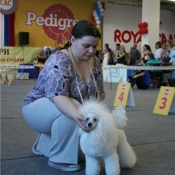 Хола Гермиона