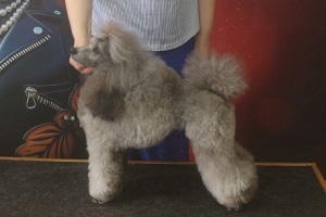 Хола Иштар - 08.03.2024