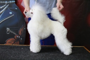 Хола Изюминка Севера - 08.03.2024