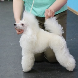 Хола Изюминка Севера 