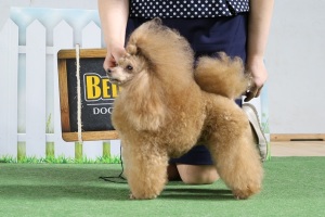 Хола Огонек Ямала - 16.04.2016