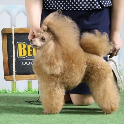 Хола Огонек Ямала