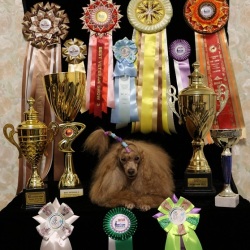 Хола Огонек Ямала