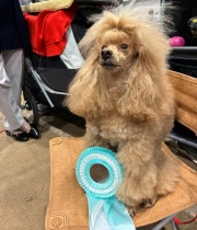 Хола Талисман Ямала