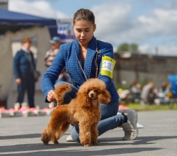 Хола Зена Квирав