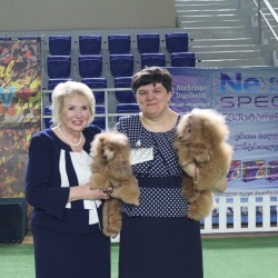 Хола Зена Квирав