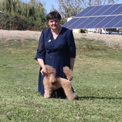 Хола Зена Квирав