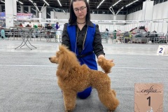 Ле Руж Феерик Рок Ми Амадеус