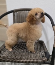 Магия Холы из Борисов Града - 23.08.2025