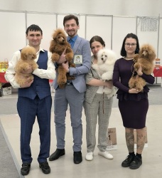 Магия Холы из Борисов Града - Луший Беби,BEST BABY -2;Ле Руж Феерик Рок Ми Амадеус -ЮКЧК,Лучший Юниор,BEST JUNIOR -3;Янсен Илона Хола -ЮКЧК,Лучший Юниор;Янсен Камилла Хола -Лучший Щенок, BEST PUPPI -2