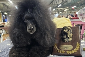 Северный Ветер Хола из Борисов Града 05.05.2022