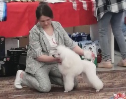 Янсен Илона Хола