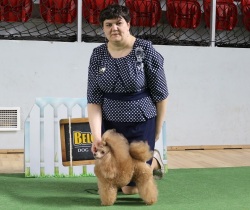 Хола Огонек Ямала 