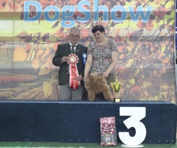 Хола Огонек Ямала