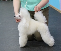 Хола Изюминка Севера