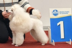 Янсен Илона Хола