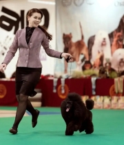 Северный Ветер Хола из Борисов Града Северный Ветер Хола из Борисов Града