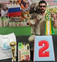 Хола Иштар