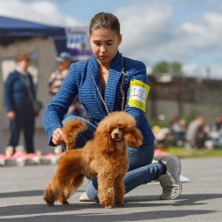 Хола Зена  Квирав