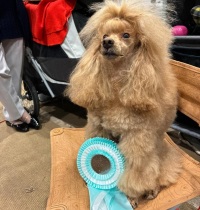 Хола Талисман Ямала