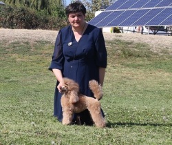 Хола Зена Квирав