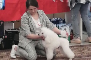 Янсен Илона Хола -22.02.2025