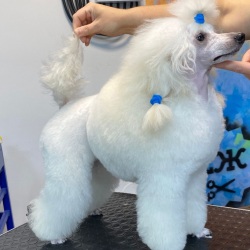 Янсен Илона Хола