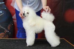 Янсен Истелия - 22.02.2025