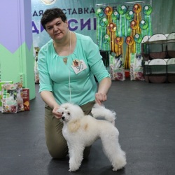 Янсен Истелия