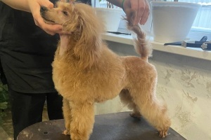 Янсен Камилла Хола - 15.07.2025